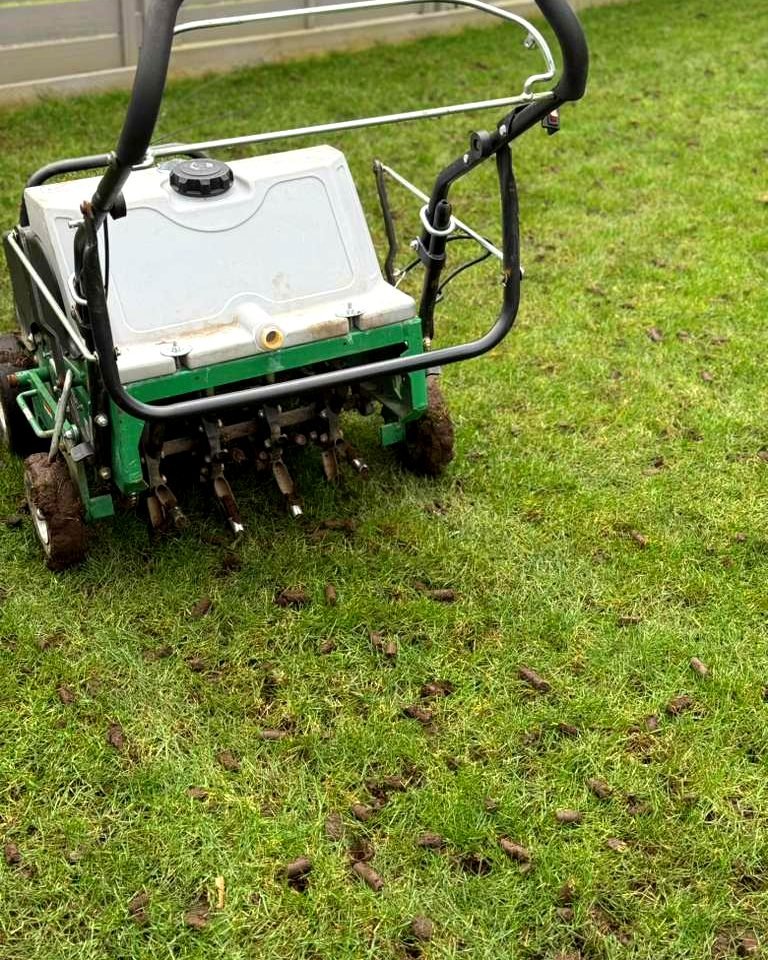 A core aerator on a Utah lawn, with soil plugs left across the grass behind it