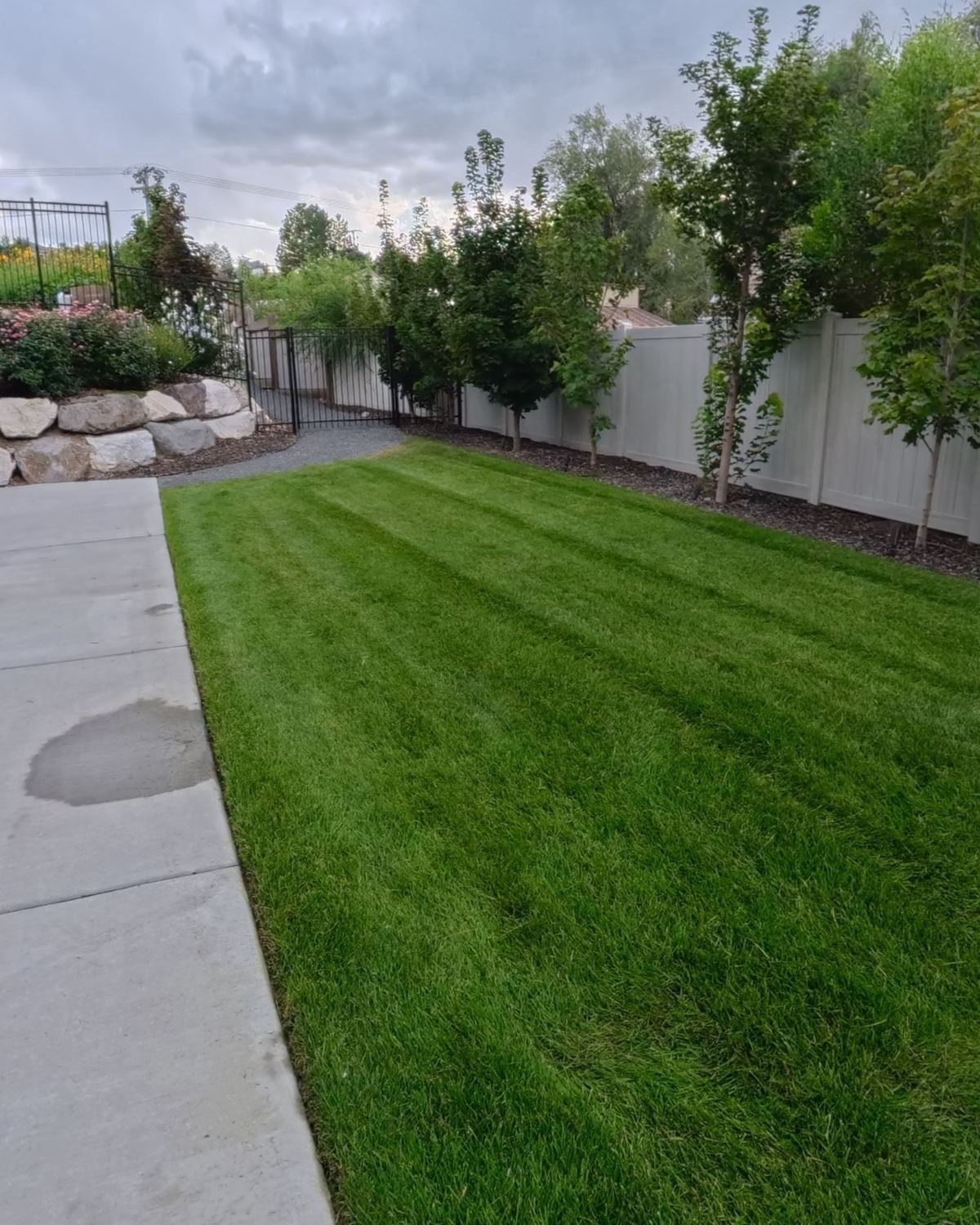 Freshly mowed backyard with clean stripes along a vinyl fence in the Salt Lake Valley